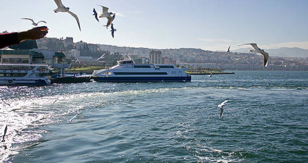 Aydın Çıkışlı İzmir Karşıyaka Konak Kemeraltı İstinye Park Avm Asansör Turu