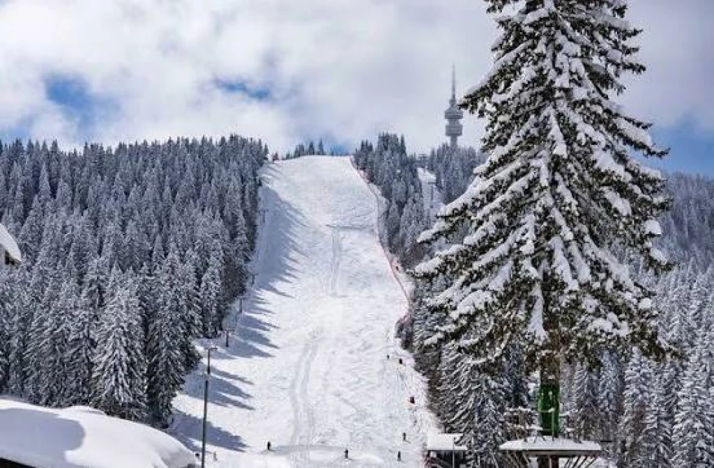 SÖMESTR'A ÖZEL PAMPOROVO TATİLİ  SHEJANKA HOTEL 3* (03-06 Şubat 2027)