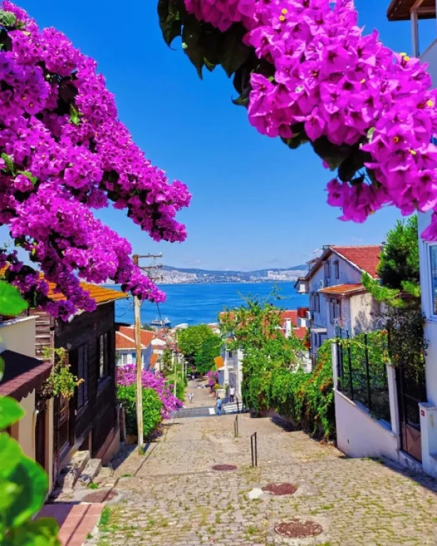Büyükada & Heybeliada Turu