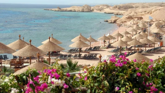 Sharm El Sheikh Turu Sömestre Özel THY ile 3 Gece (26-29 Ocak)