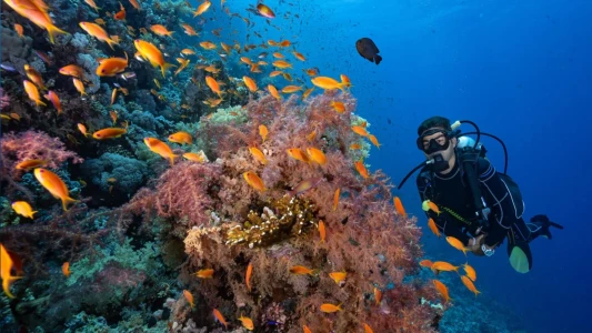 Sharm El Sheikh Turu / Türk Hava Yolları ile / 5 Gece Konaklamalı (Ramazan Bayramı Özel 08-13 Mart)...