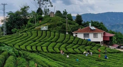 Karadeniz Batum Gezi Rehberi Eşsiz Köşeler ve Tarihin İzinde