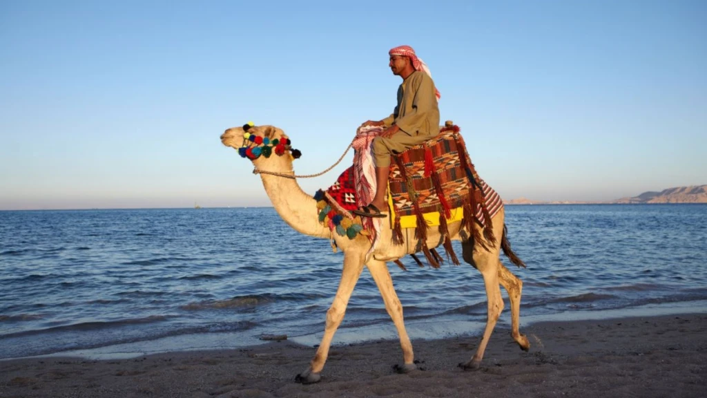 Sharm El Sheikh Turu / Türk Hava Yolları ile / 5 Gece Konaklamalı (Kurban Bayramı Özel) / İstanbul Çıkışlı