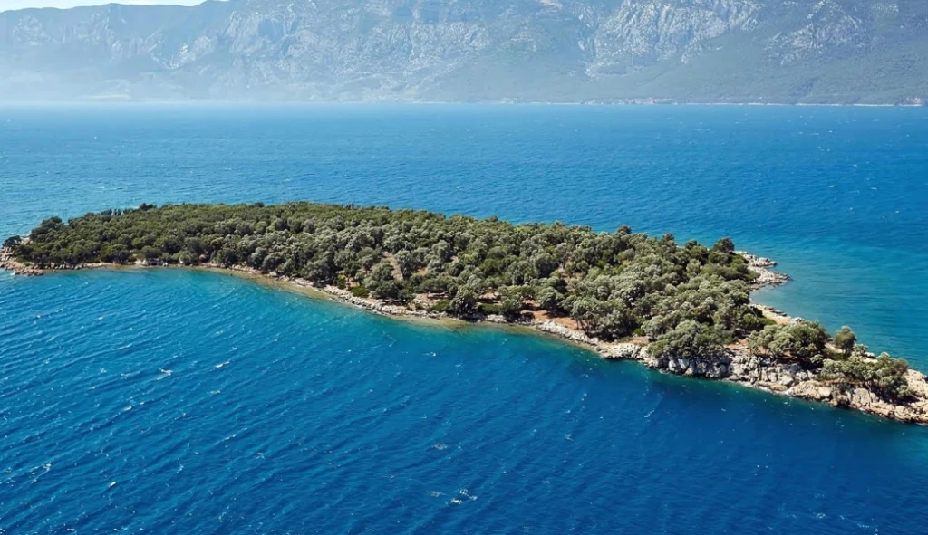 29 Ekim Özel Uçaklı Likya Fethiye Ölüdeniz Dalyan Akyaka Yüzme ve Tekne Turu (3 Gece Otel Konaklamalı)