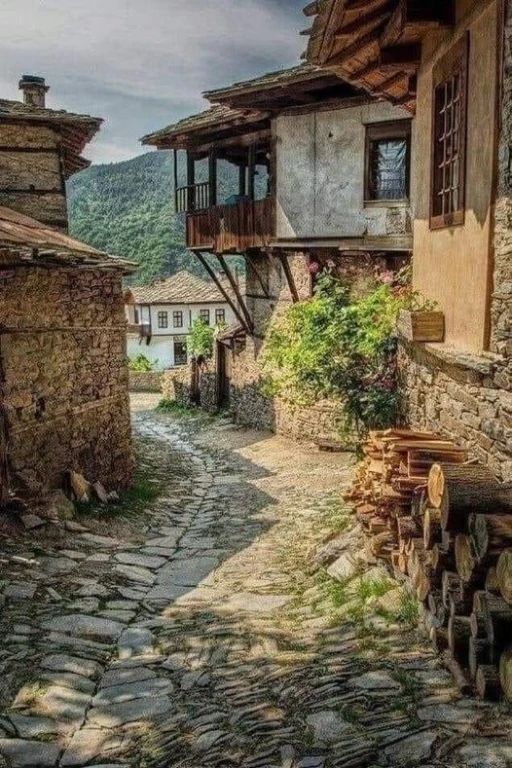 MUDURNU-GÖYNÜK-TARAKLI TURU