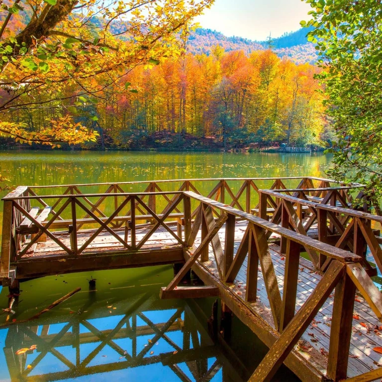 YEDİGÖLLER TURU