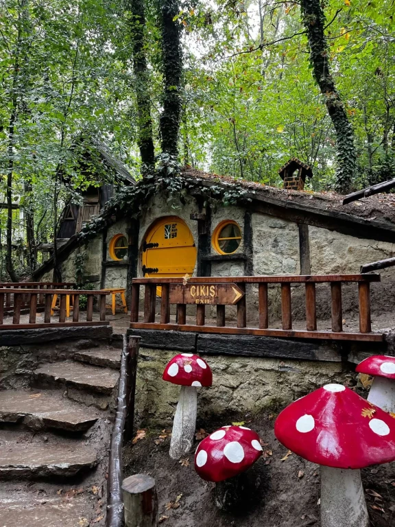 GÜNÜBİRLİK ORMANYA MAŞUKİYE SAPANCA TURU