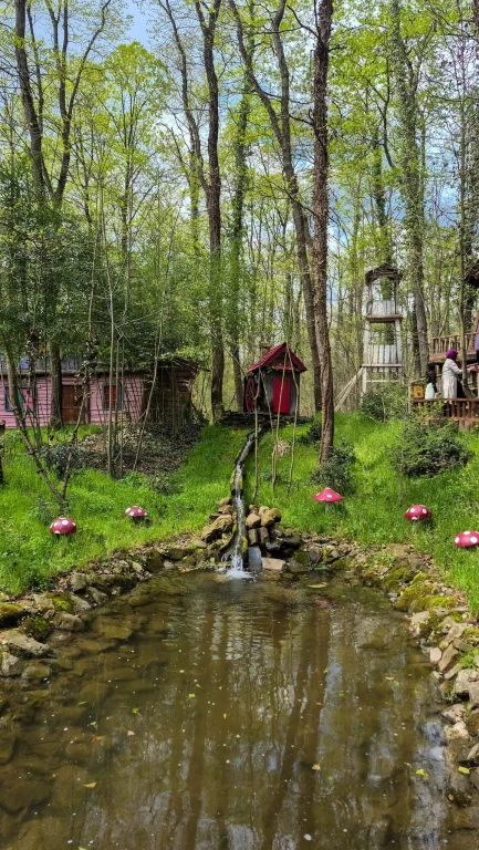 GÜNÜBİRLİK ORMANYA MAŞUKİYE SAPANCA TURU