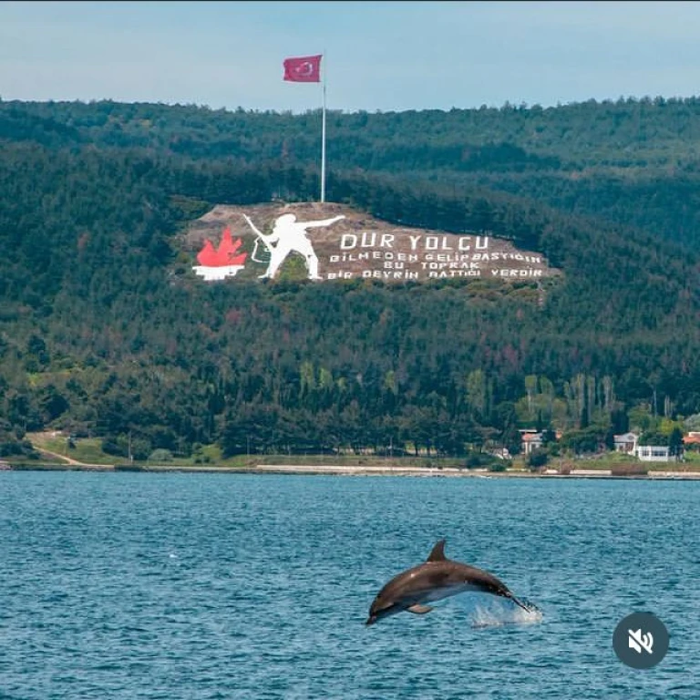 Günübirlik Çanakkale Kültür ve Tarih Turu