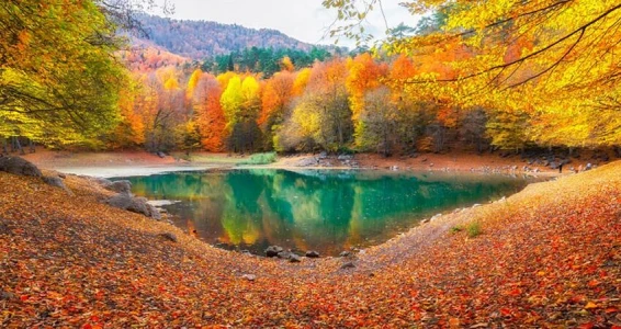 Seven Lakes Tour