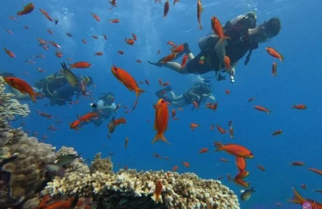Sharm El Sheikh - Kızıldeniz Rotası Turu (5 Gece)