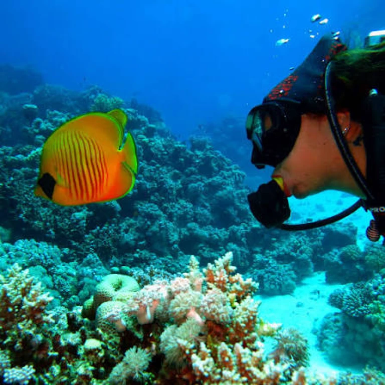 Sharm El Sheikh - Kızıldeniz Rotası Turu (5 Gece - Ekstra Turlar Dahil)