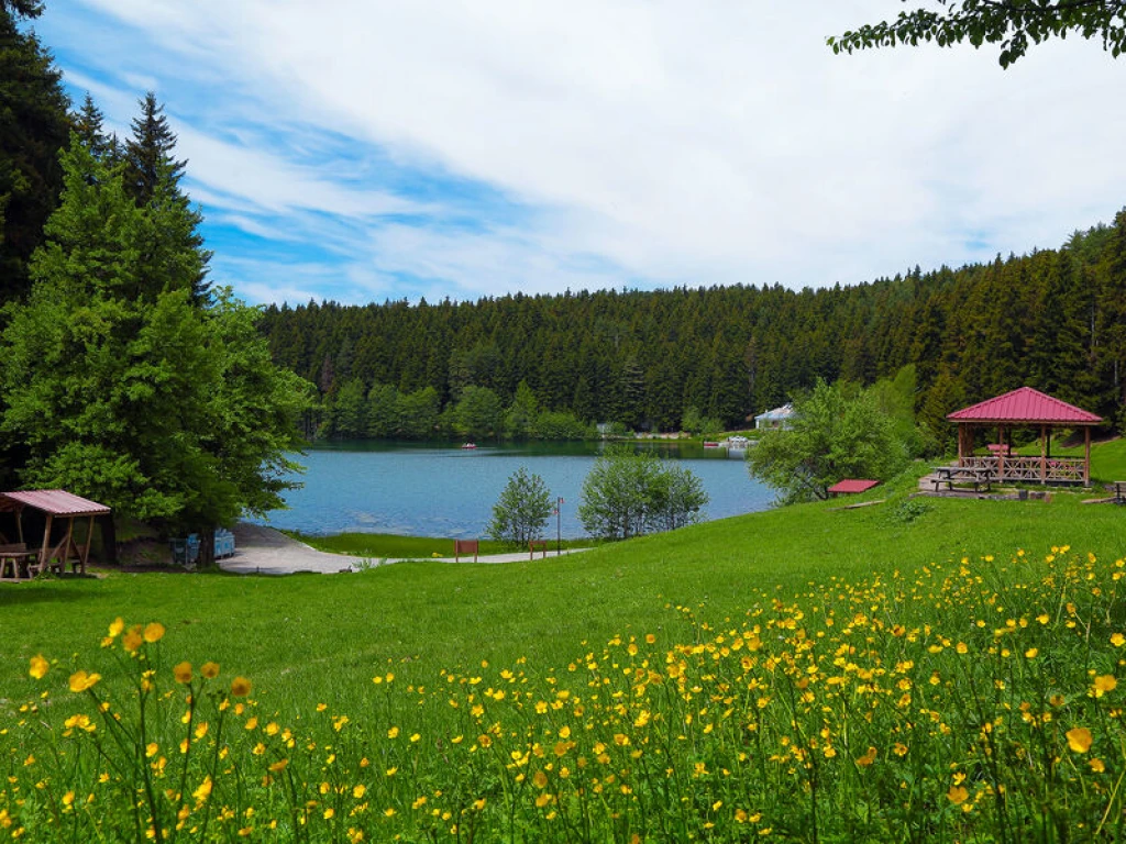 Butik Karadeniz yayla turu 4 gece 5 gün Artvin