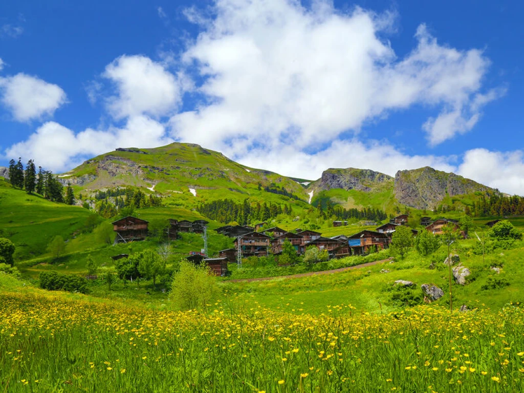 Butik Karadeniz yayla turu 4 gece 5 gün Artvin