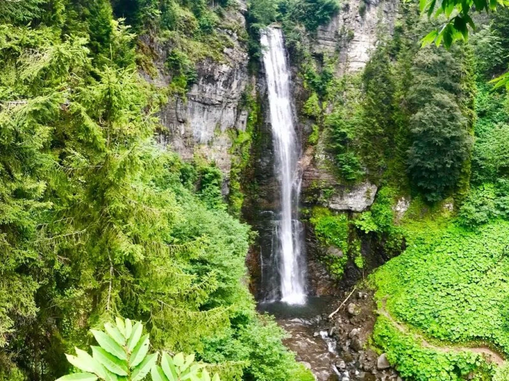 Butik Karadeniz yayla turu 4 gece 5 gün Artvin