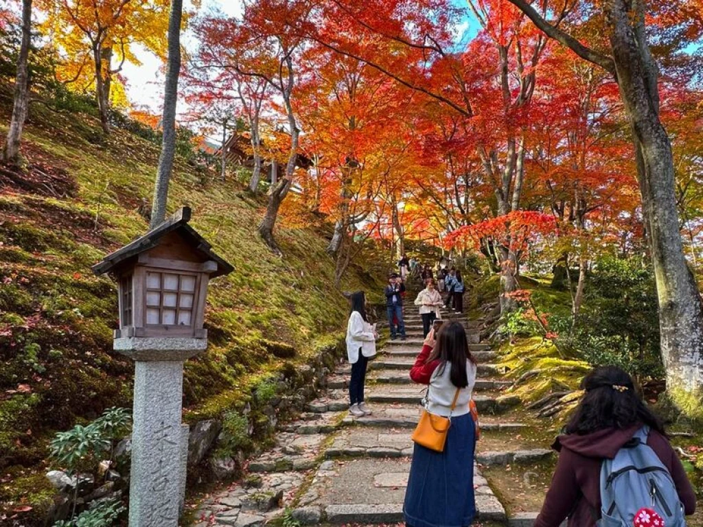 Dilara İle Grand Japonya Turu THY İle Direkt Uçuş 7 Gece 9 Gün