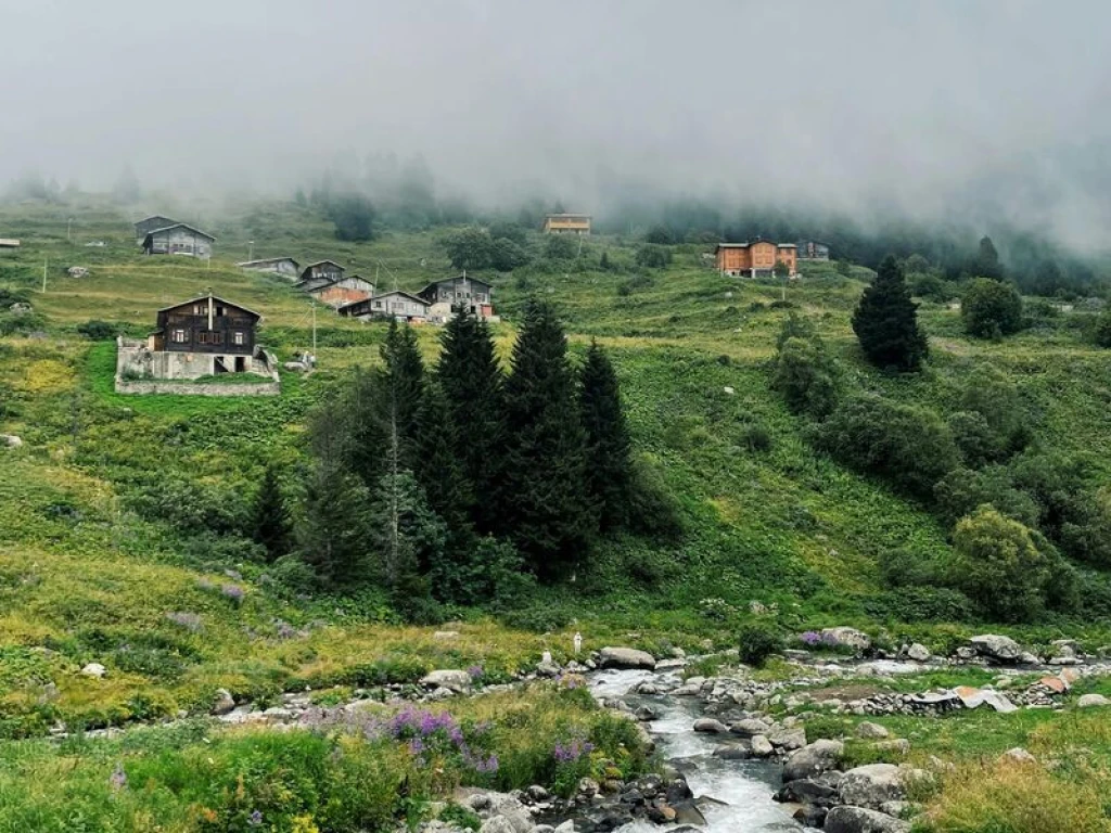 Rize Çıkışlı Ayder, Elevit Yaylası Ve Zil Kale Günübirlik Turu (Combo)