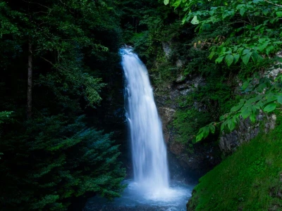 Rize Çıkışlı Ayder, Elevit Yaylası Ve Zil Kale Günübirlik Turu (Combo)