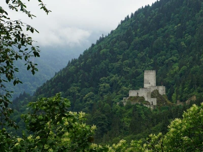 Rize Çıkışlı Ayder, Elevit Yaylası Ve Zil Kale Günübirlik Turu (Combo)