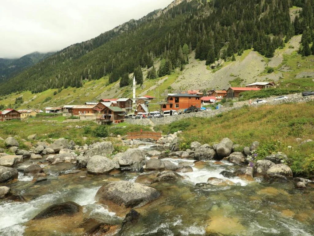 Rize Çıkışlı Ayder, Elevit Yaylası Ve Zil Kale Günübirlik Turu (Combo)