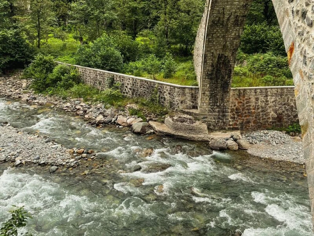 Rize Çıkışlı Ayder, Elevit Yaylası Ve Zil Kale Günübirlik Turu (Combo)