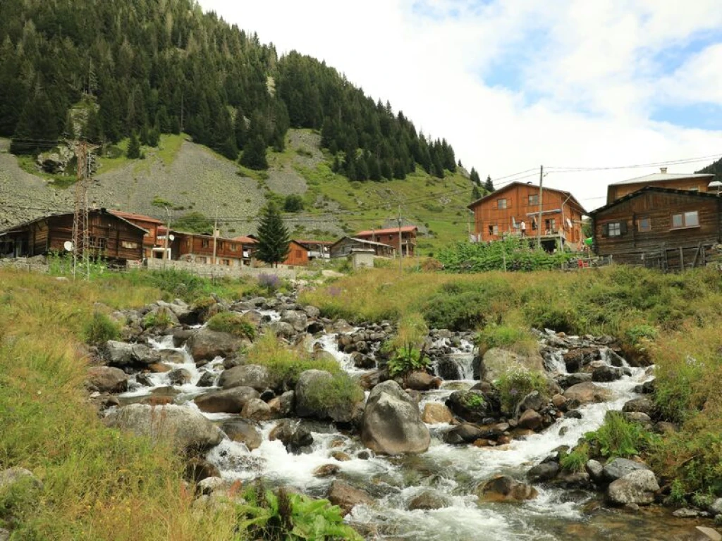 Rize Çıkışlı Ayder, Elevit Yaylası Ve Zil Kale Günübirlik Turu (Combo)