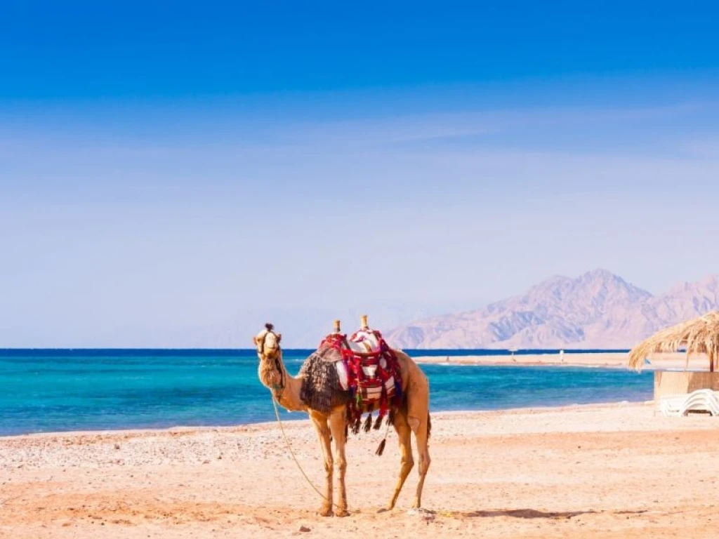 Seda Öztürk ile Kahire Hurgada Luxor Mısır’ın Büyülü Rotası