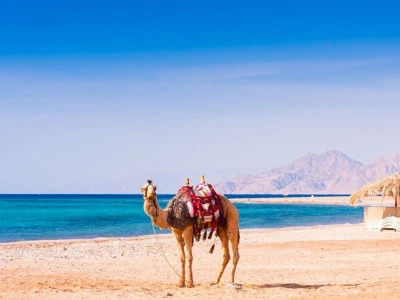 Seda Öztürk ile Kahire Hurgada Luxor Mısır’ın Büyülü Rotası