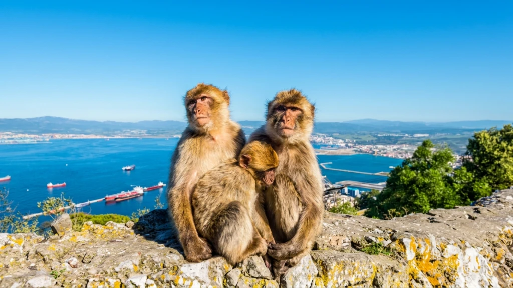 5. Gün | Cebelitarık (Gibraltar) – İki Kıtanın Kesişim Noktası