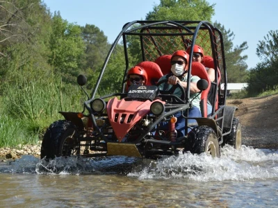 Buggy Safari