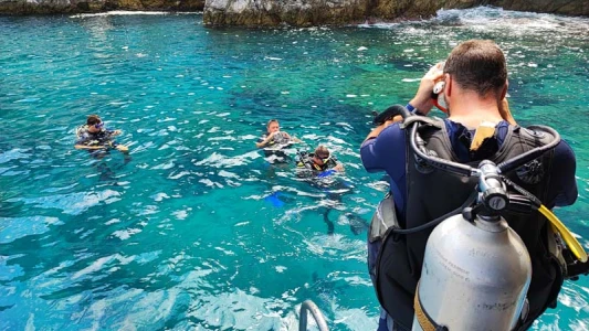 Diving Tour
