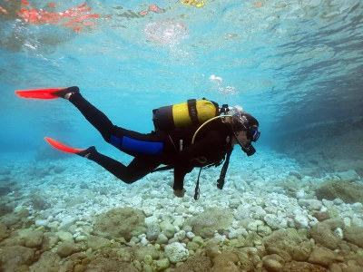 Diving