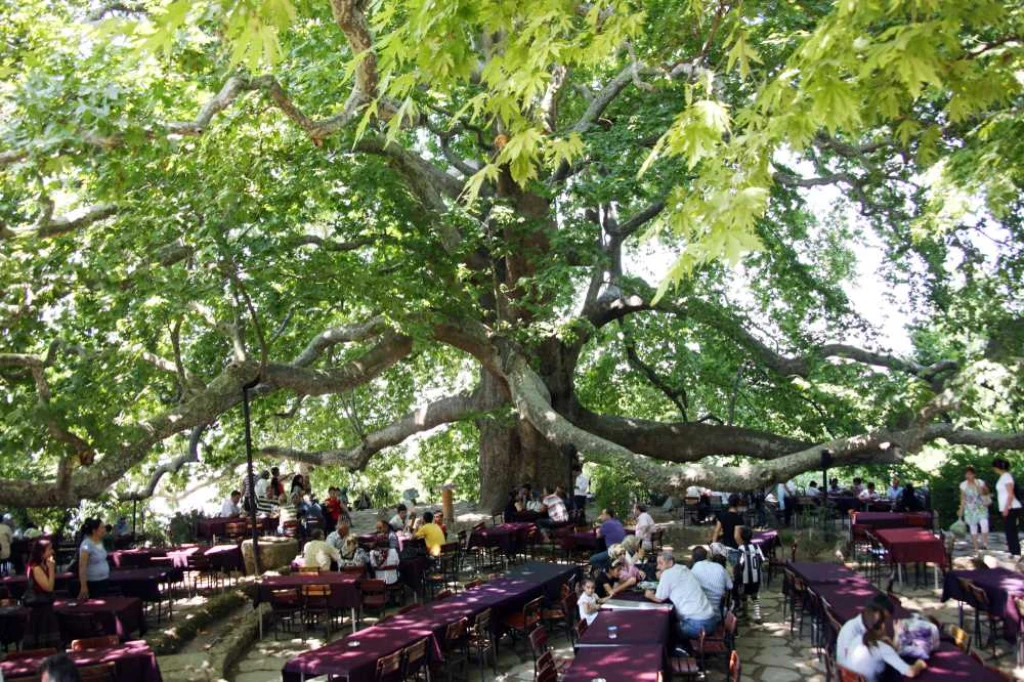 Bursa Tour