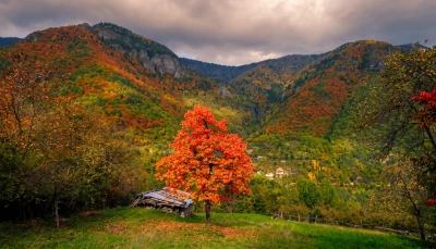 17-18 Ekim / 1 Gece Konaklamalı MACAHEL TURU (16 Kişi İle Sınırlı)