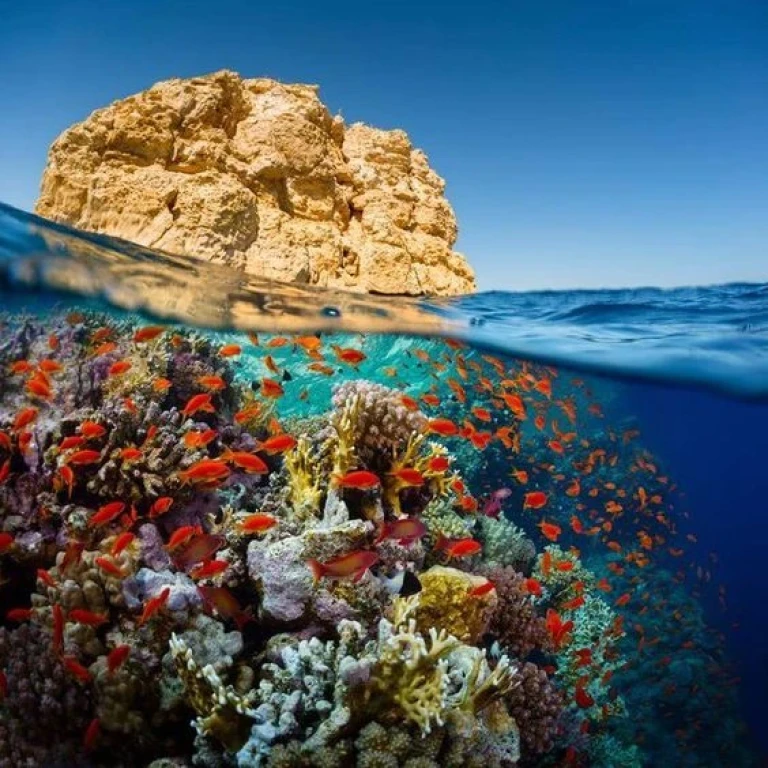 İstanbul Kalkışlı Ajet ile Piramitlerden Kızıldenize Prestij Kahire Sharm El Sheikh Turu 6 Gece