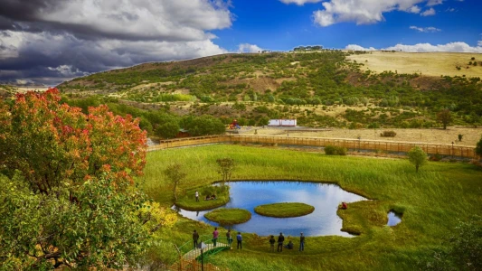29 Ekim Özel Uçaklı Van, Tatvan, Kemaliye, Elazığ Ve Erzincan Turu / 3 Gece Otel Konaklamalı / İstan...