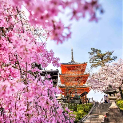 27 MART – 04 NİSAN 2027 - SAKURA ÖZEL TURU - DOĞAN GÜNEŞİN ÜLKESİ: “JAPONYA”
