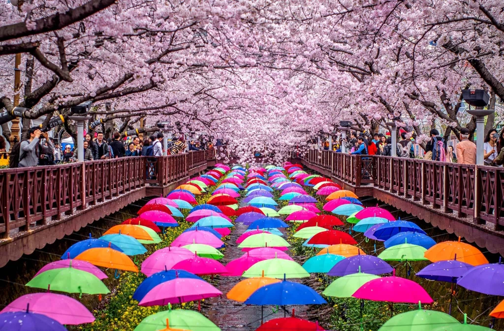 28 MART - 5 NİSAN - 2027 - SAKURA ÖZEL TURU - OSAKA BAŞLANGIÇLI - DOĞAN GÜNEŞİN ÜLKESİ: “JAPONYA”