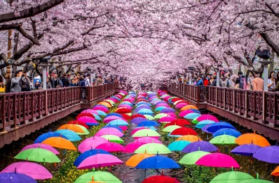 28 MART - 5 NİSAN - 2027 - SAKURA ÖZEL TURU - OSAKA BAŞLANGIÇLI - DOĞAN GÜNEŞİN ÜLKESİ: “JAPONYA”