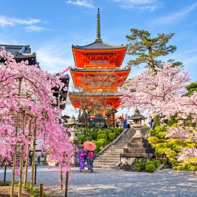 29 MART – 08 NİSAN 2027 - SAKUR ÖZEL TURU - UZAK DOĞU’NUN ÇİÇEĞİ VE GÜNEŞİ: “GÜNEY KORE VE JAPONYA”