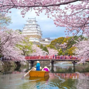 2 - SAKURA DÖNEMİ - DOĞAN GÜNEŞİN ÜLKESİ: “JAPONYA”