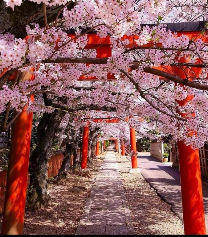 05 NİSAN - 14 NİSAN 2027 - SAKURA DÖNEMİ - DOĞAN GÜNEŞİN ÜLKESİ: “JAPONYA”