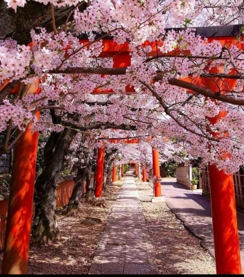 05 NİSAN - 14 NİSAN 2027 - SAKURA DÖNEMİ - DOĞAN GÜNEŞİN ÜLKESİ: “JAPONYA”