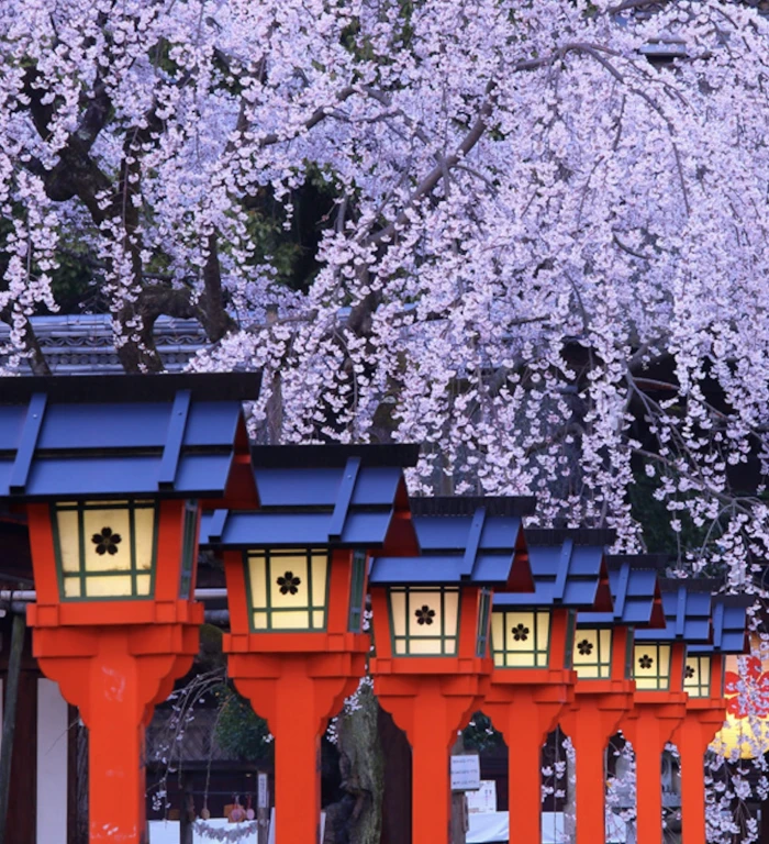 06 NİSAN – 15 NİSAN 2027 - SAKURA DÖNEMİ - DOĞAN GÜNEŞİN ÜLKESİ: “JAPONYA”