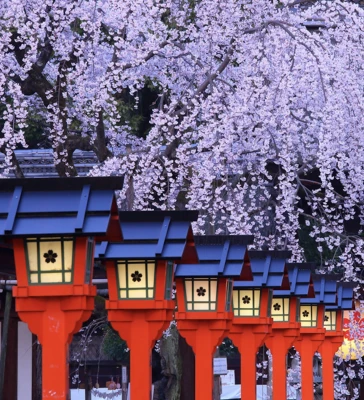 06 NİSAN – 15 NİSAN 2027 - SAKURA DÖNEMİ - DOĞAN GÜNEŞİN ÜLKESİ: “JAPONYA”