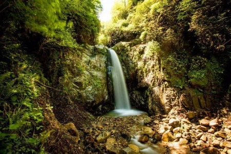 Rüya Gibi Karadeniz/Batum Turu/3 Gece/Otel Konaklamalı