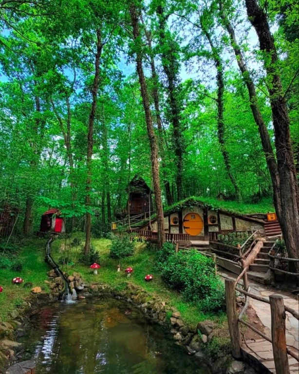 Sapanca Maşukiye Ormanya Turu