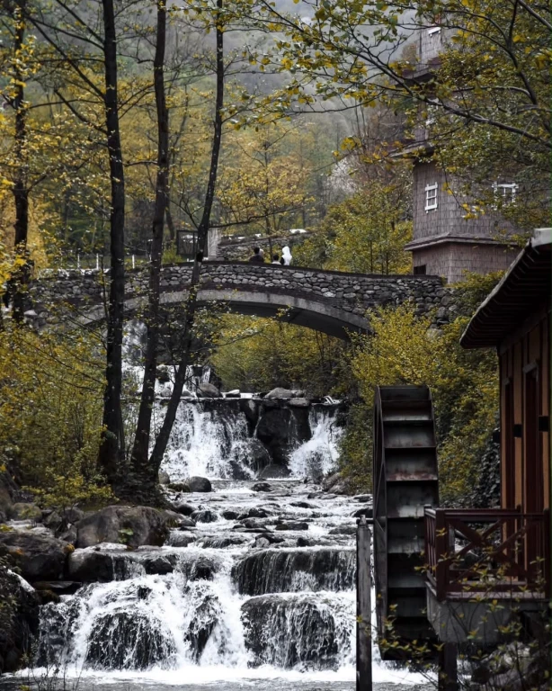 Sapanca Maşukiye Ormanya Turu
