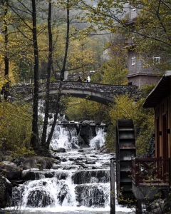 Sapanca Maşukiye Ormanya Turu