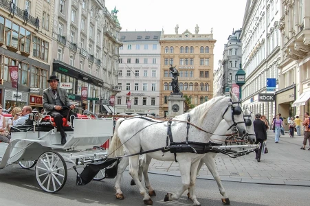 Görkemli Orta Avrupa Budapeşte & Viyana & Prag 7 Gece - Bratislava Turu Dahil - AJET ile